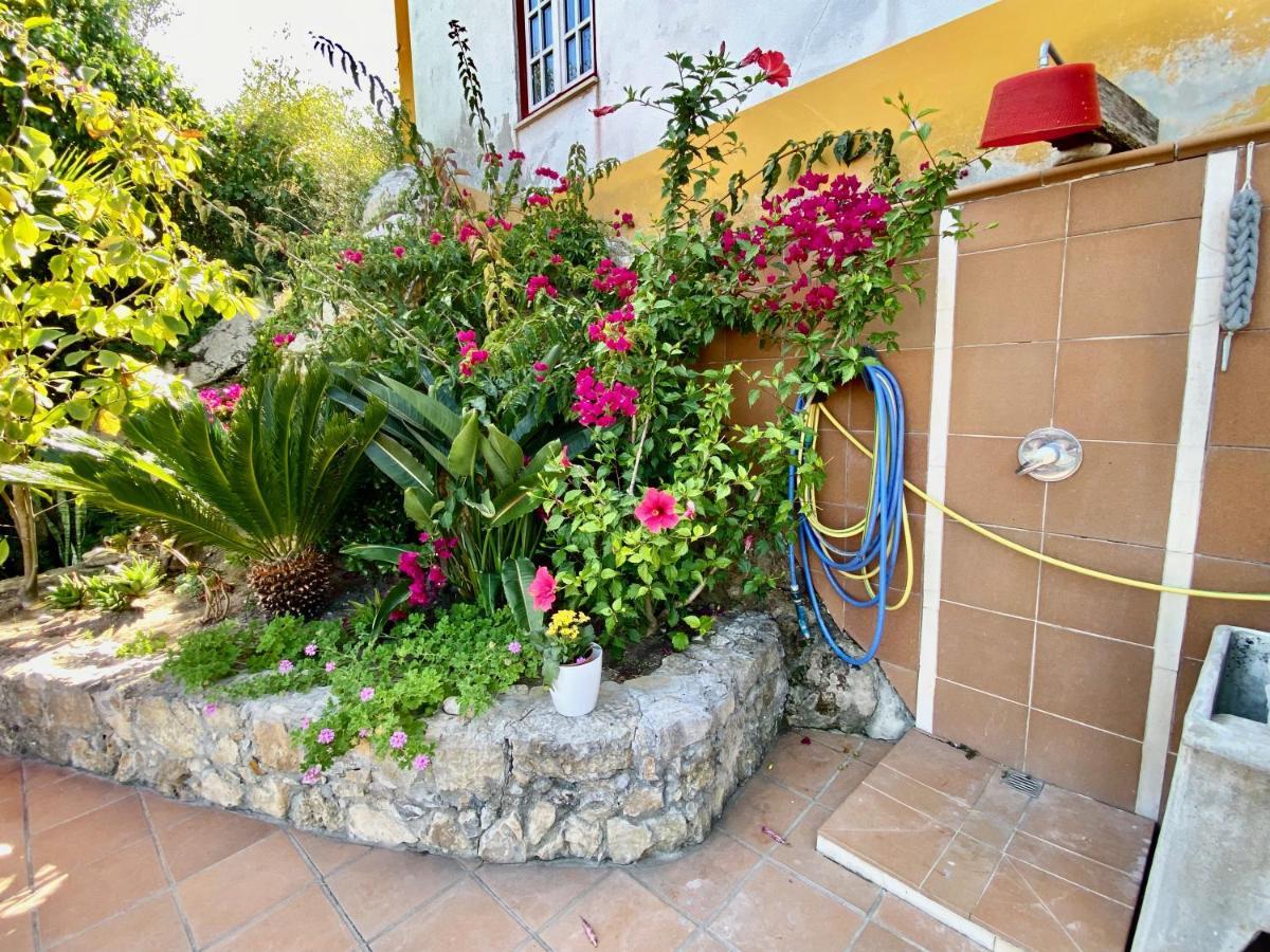 Holiday home Artisan's Obidos