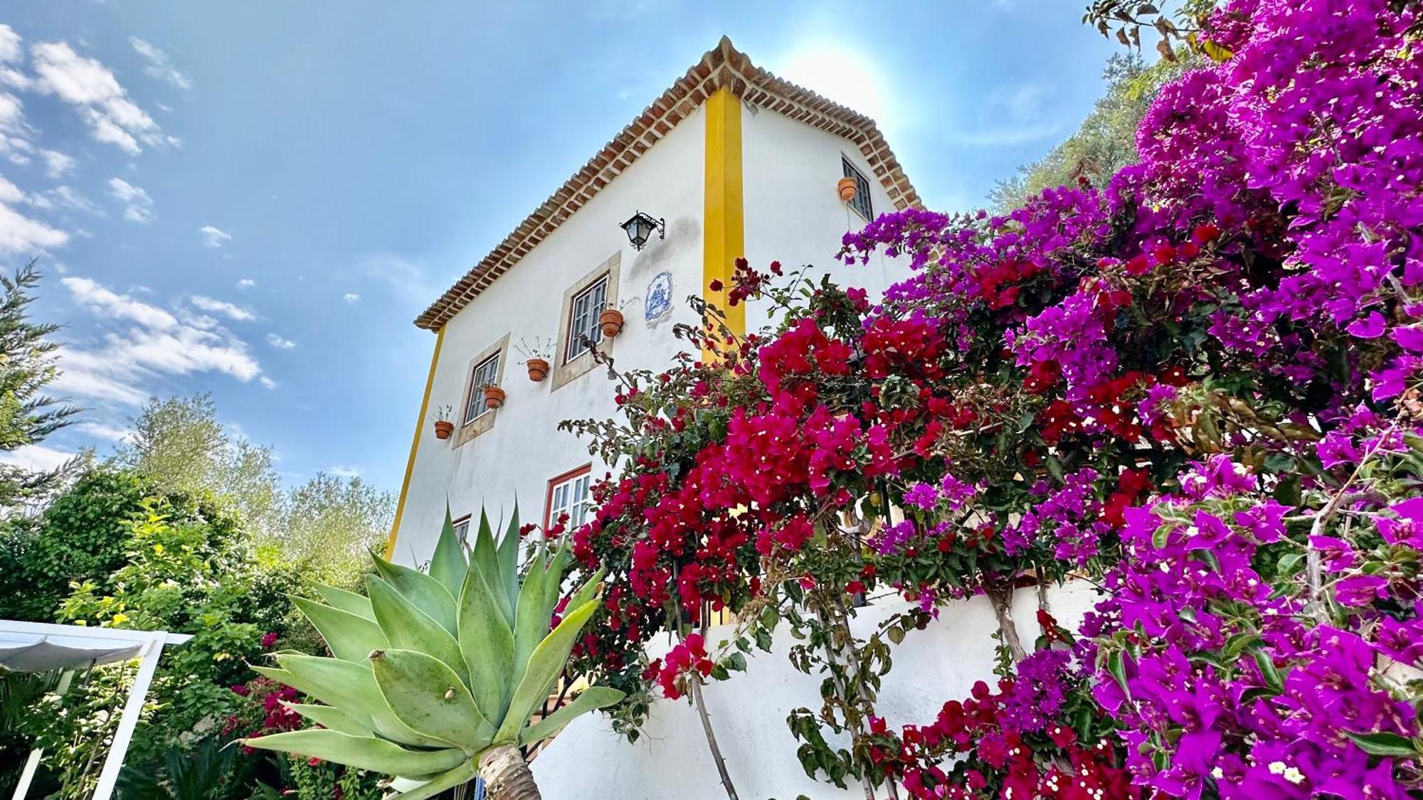 Holiday home Artisan's Obidos